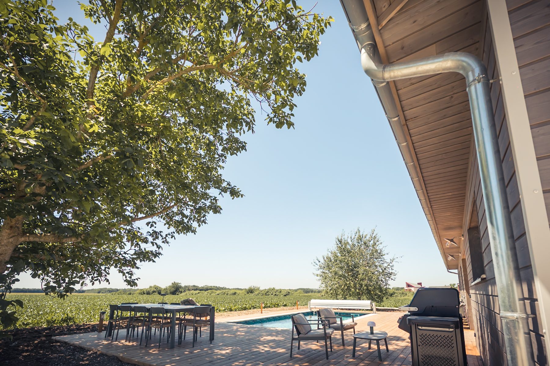 Terrasse avec piscine privée, arbre et maison en bois